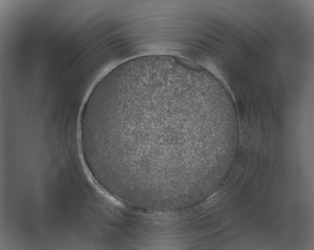 X0000067501096200604211718