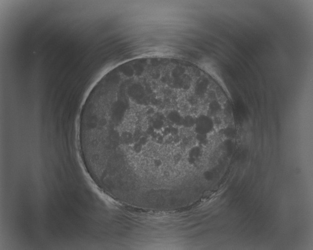 X0000067501099200604211718