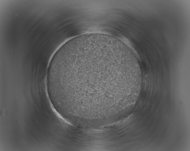 X0000067501100200604211718