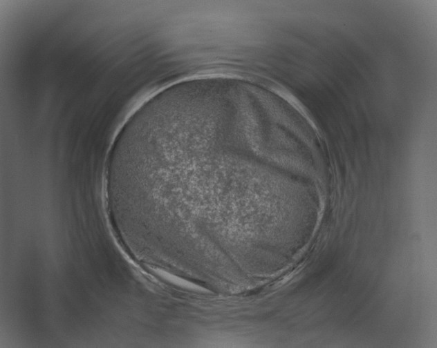 X0000067501101200604211718