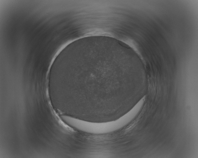 X0000067501102200604211718