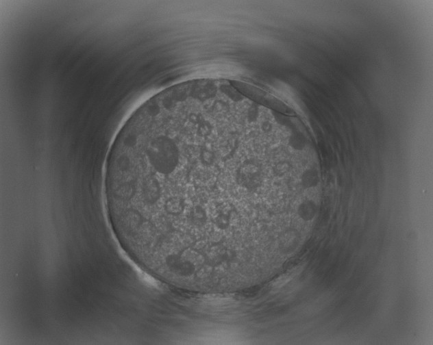 X0000067501103200604211718