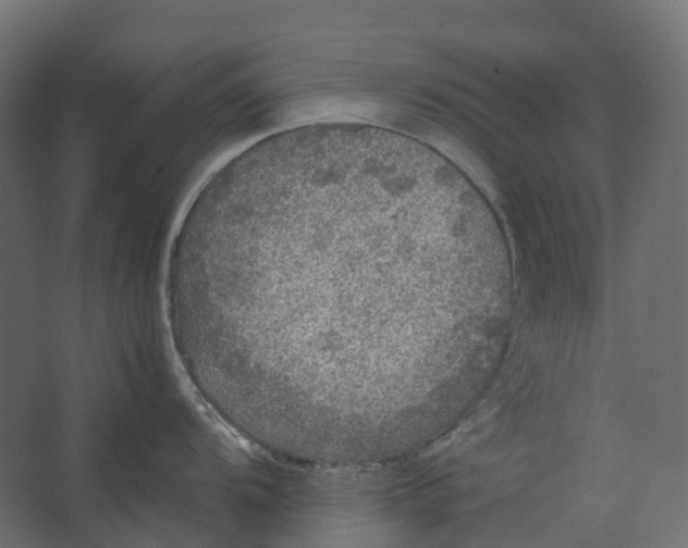 X0000067501104200604211718