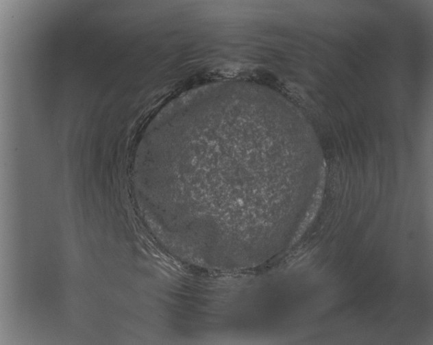 X0000067501105200604211717