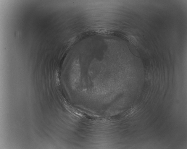 X0000067501106200604211717