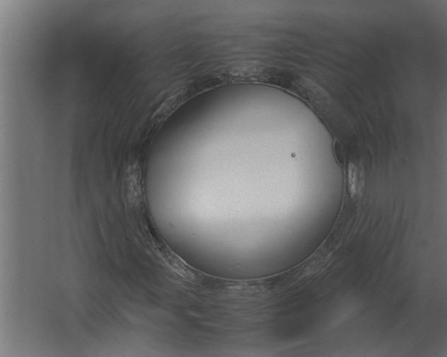 X0000067501107200604211717