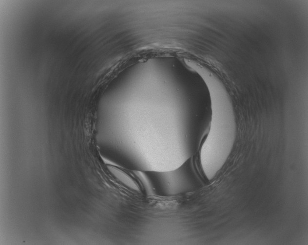 X0000067501110200604211718