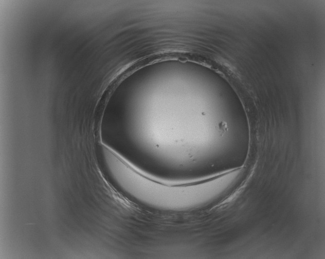 X0000067501113200604211718