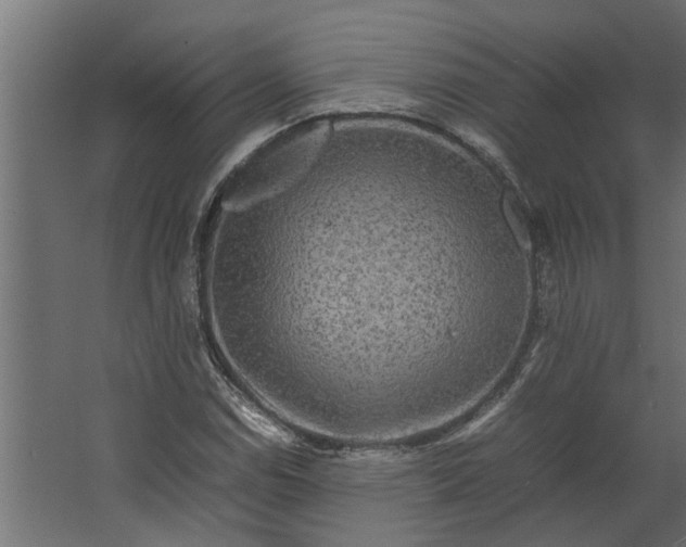 X0000067501114200604211718