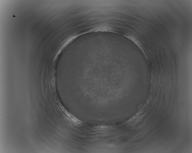 X0000067501115200604211718