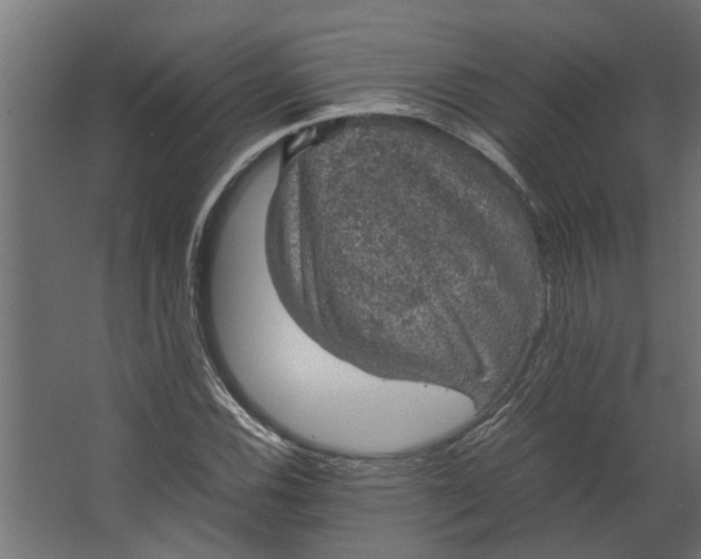 X0000067501116200604211718