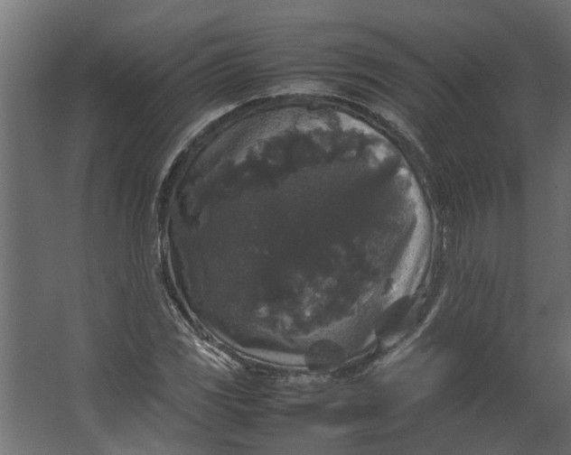 X0000067501117200604211718