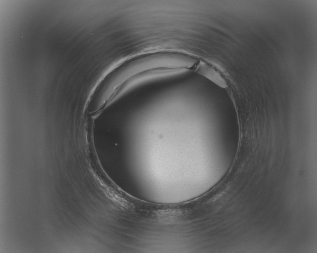 X0000067501118200604211718