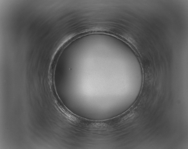 X0000067501119200604211718