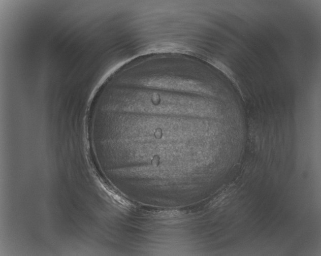 X0000067501120200604211718