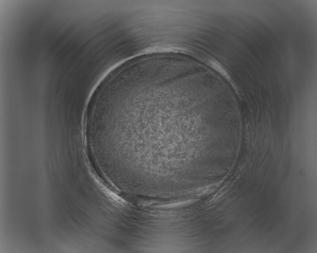 X0000067501124200604211718