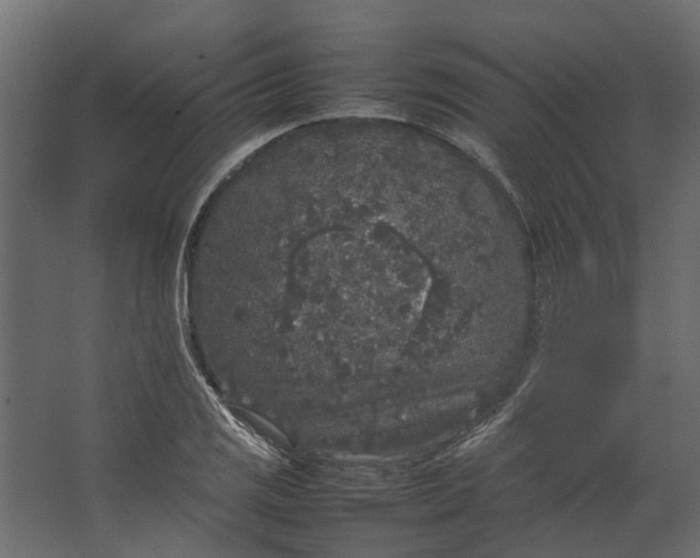 X0000067501125200604211718