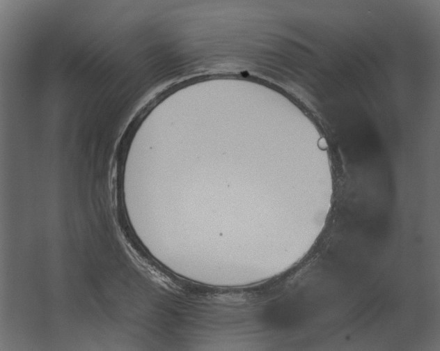 X0000067501126200604211718