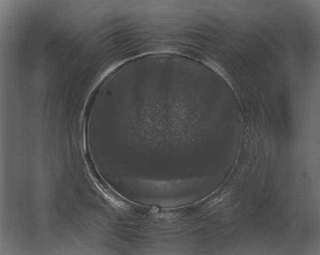 X0000067501127200604211718