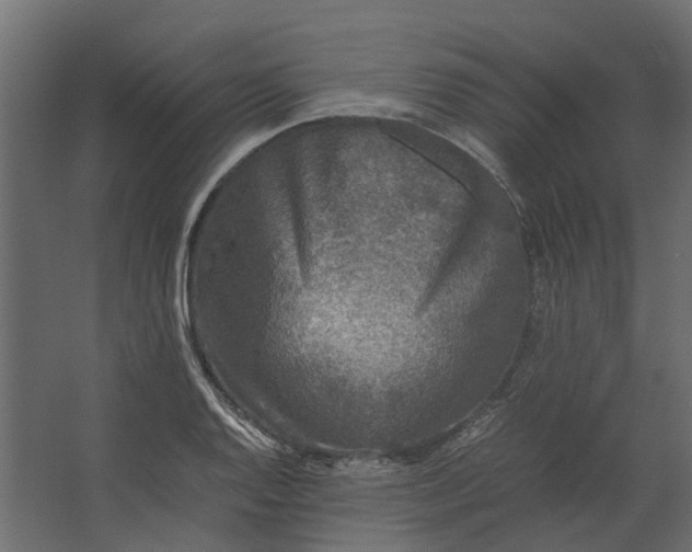 X0000067501128200604211718