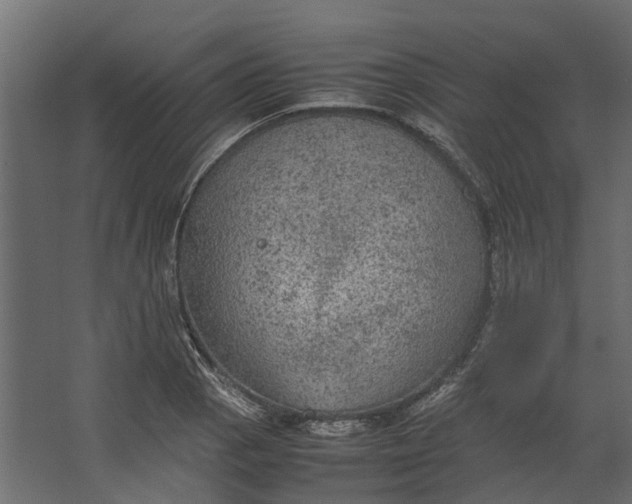 X0000067501129200604211718