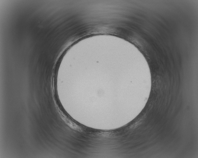 X0000067501130200604211718