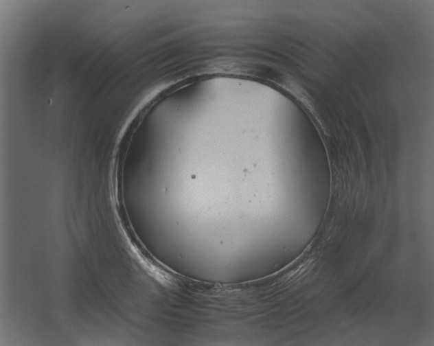 X0000067501131200604211718