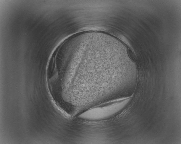 X0000067501132200604211718