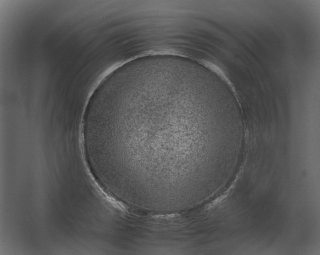 X0000067501133200604211718