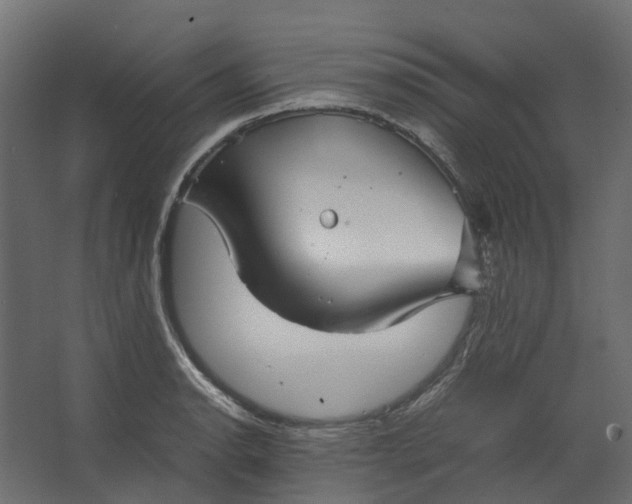 X0000067501134200604211718