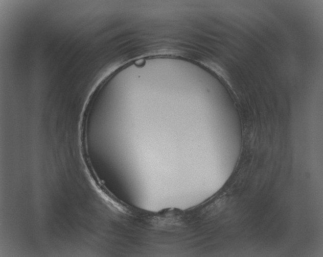 X0000067501135200604211718