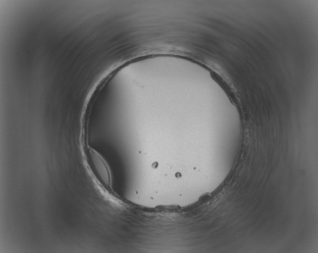 X0000067501136200604211718