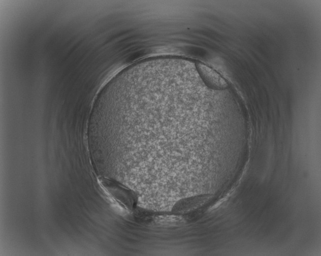 X0000067501137200604211718