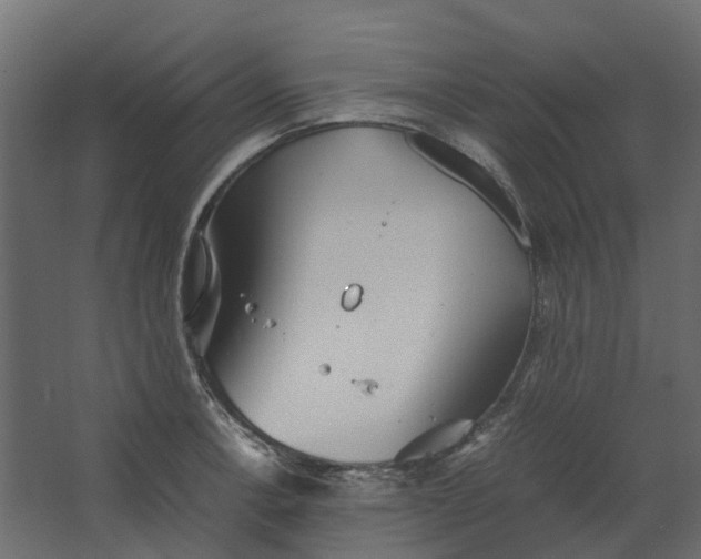 X0000067501138200604211718