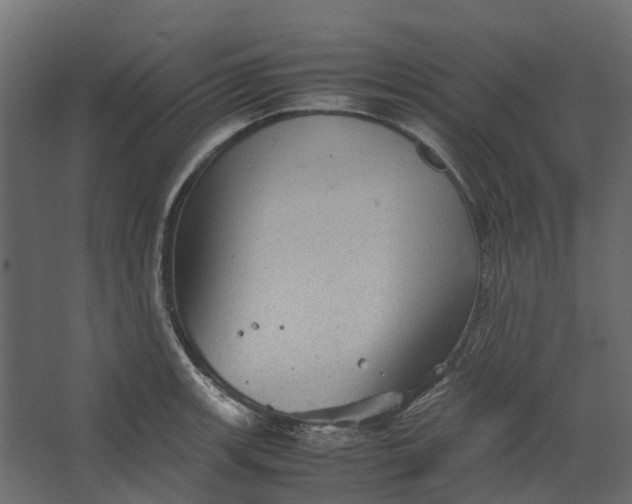 X0000067501139200604211718