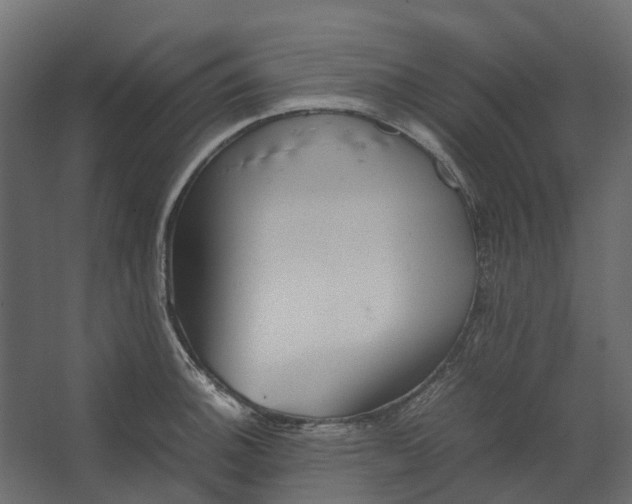 X0000067501140200604211718