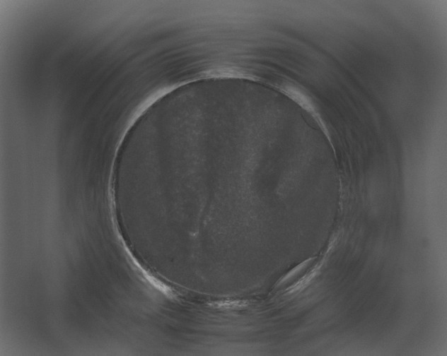 X0000067501141200604211718