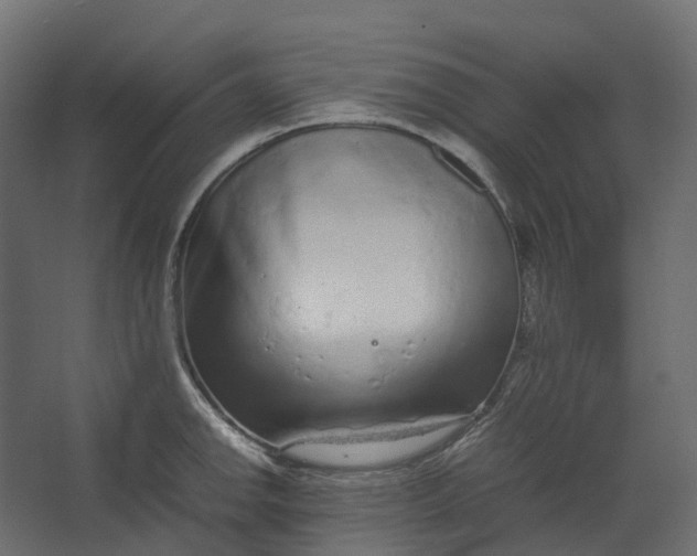 X0000067501142200604211718