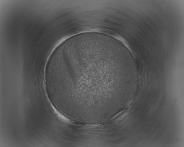 X0000067501143200604211718