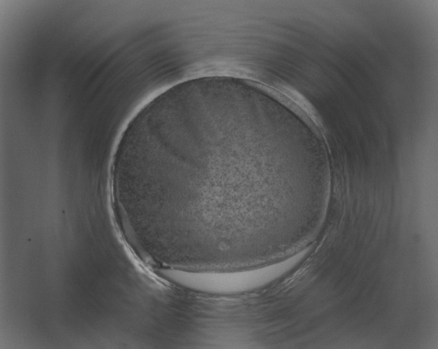 X0000067501144200604211718