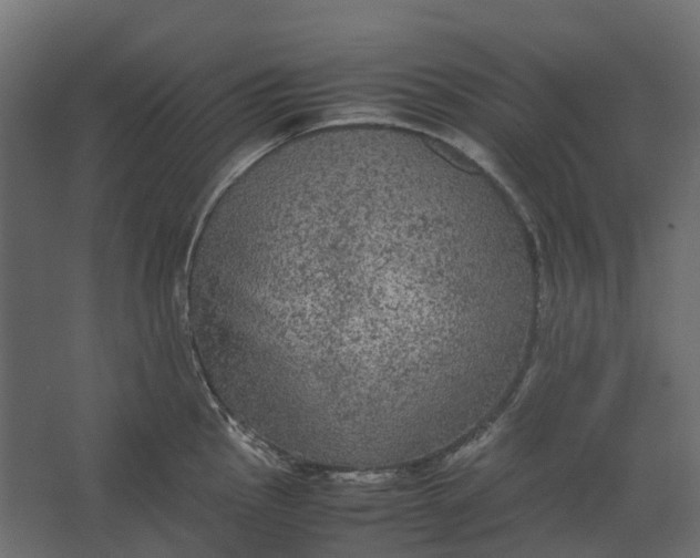 X0000067501145200604211718