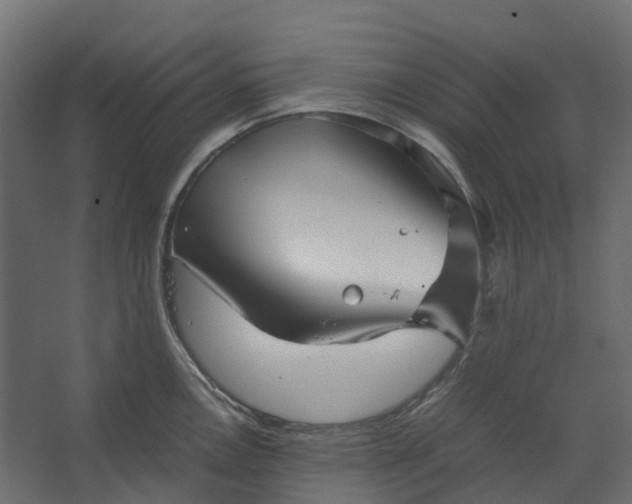 X0000067501146200604211718