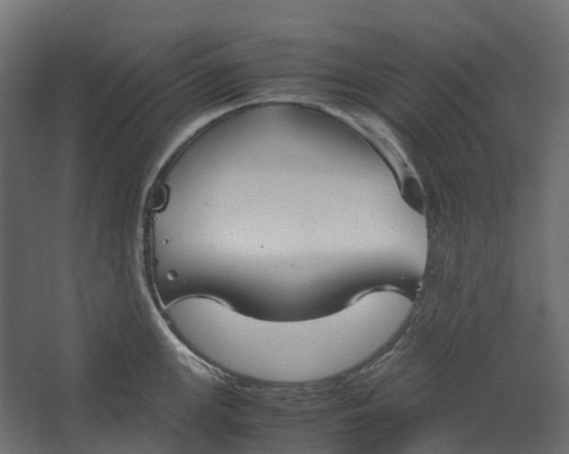 X0000067501147200604211718