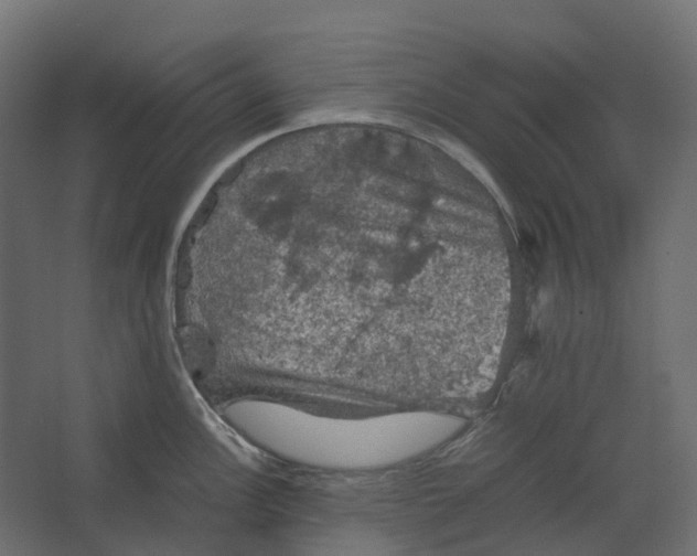 X0000067501148200604211718