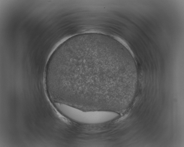 X0000067501149200604211718