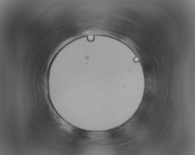 X0000067501150200604211718