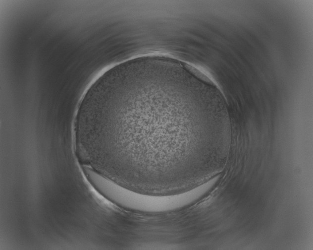 X0000067501151200604211718