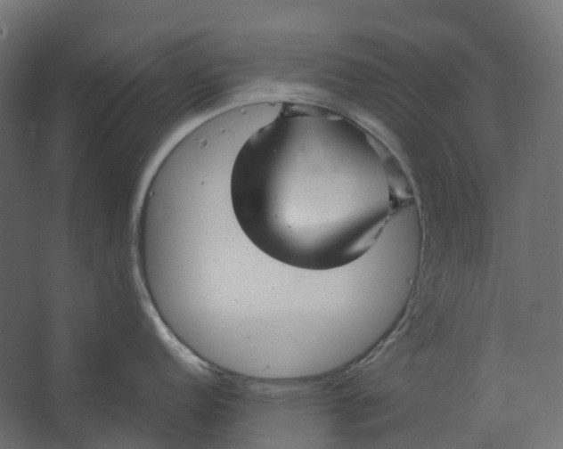 X0000067501152200604211718