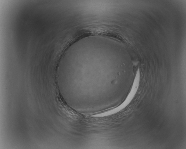 X0000067501153200604211717