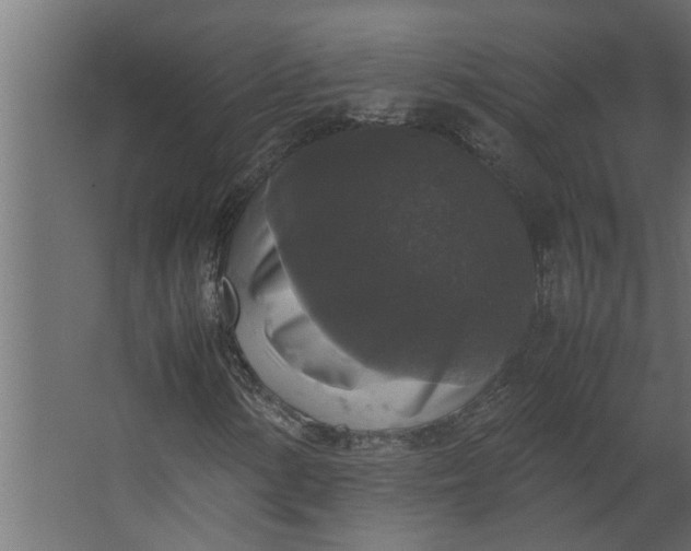 X0000067501154200604211717